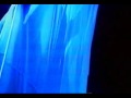 Oduarpa Video preview