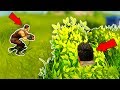 #1 BATTLE ROYALE Strategy! Fortnite Battle Royale #1 BATTLE ROYALE Strategy! Fortnite Battle Royale