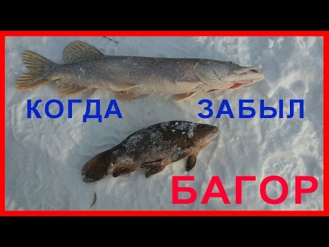 клев в харь клев в харь