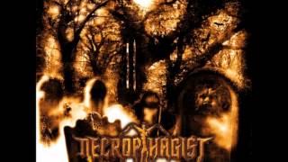 Watch Necrophagist Only Ash Remains video
