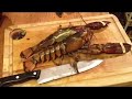 faire cuire un homard vivant