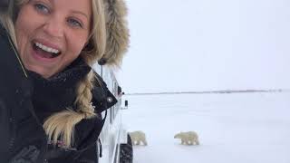 World Animal Warriors meets the Polar Bears