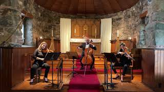 Air on the G String, J.S. Bach - NU TRIO