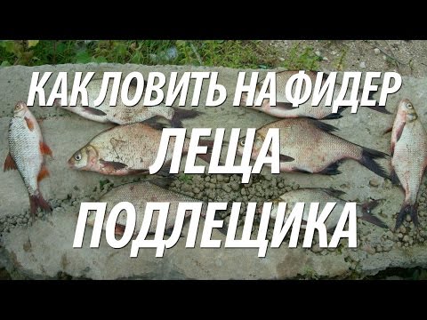 ловля рыбы на штык ловля рыбы на штык