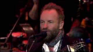 Watch Sting There Is No Rose Of Such Virtue video
