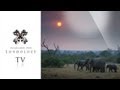 A Guide to Wildlife Photography - Londolozi TV