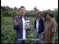 image Plant Activator Pada Tanaman Kol 081378687999