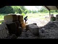 365 Parkour