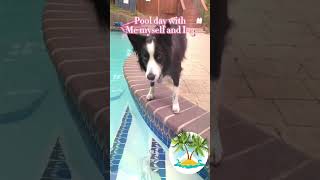 Pool Day With Myself D