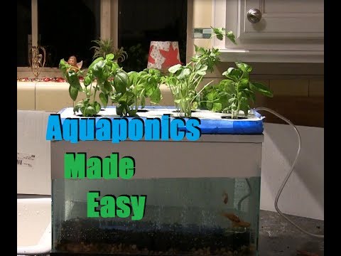 ... Affordable Backyard Aquaponics | How To Save Money And Do It Yourself