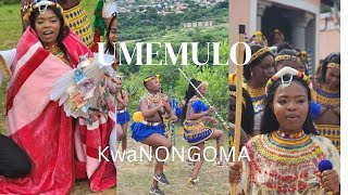 Umemulo kaNoxolo | KwaNongoma | SOUTH AFRICAN YOUTUBER #roadto1k #umemulo #zulu 