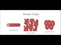 tissue