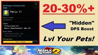 20-30%+ "Hidden" DPS Increase Explained - Level Your Pets!! (Maplestory 2 Hidden Pet Info Explained)