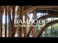 Bamboo--the Tradition of the Future