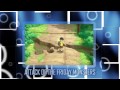 3ds