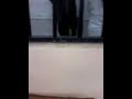 ماذا يحدث اقامة بوشريط جامعة الاغواط