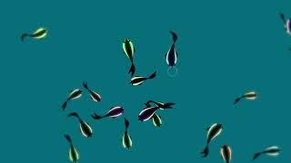 My Aquatic Life 🐠🎵