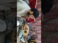جلسة طرب عفوية رياض ابو خالد مع ملوك الطرب الشعبي ابو نضال وابو راقي