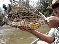 Video de Pescaria de piaucus