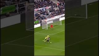 Yedlin Uçan Kafa