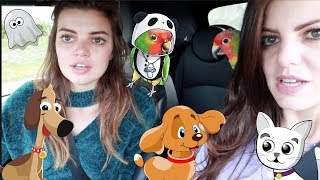 We Took My Parrot, Dog and Cat Halloween Costume Shopping! | 2018 Halloween Costumes for Pets