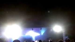 Baciary 2014
