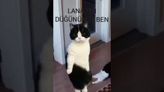 Ee Benim Işim Böyle Bacım