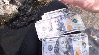 River Treasure: I Found $100 Bills, Apple iPhones, Vapes, Cameras, Fishing Tackle River Treasure: I Found $100 Bills, Apple iPhones, Vapes, Cameras, Fishing Tackle