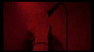 Watch Music Let Love Be The Healer video