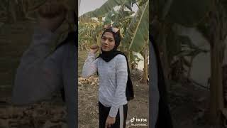 Awek Tudung