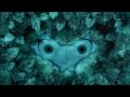 Online Movie The Secret of Kells (2009) Online Movie