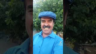 Cin Metin - Endamın Yeter Kıraç Cover