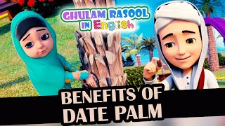 Benefits of Date Palm | Islamic Cartoon | Ghulam Rasool Cartoon in English