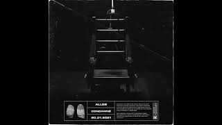 Alleb - X Audio