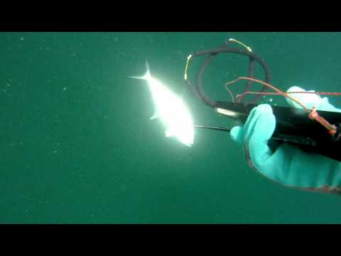 подводная оснастка подводная оснастка
