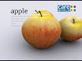 Food Factor - General Idea of Diet - Nutrition and Balanced Diet