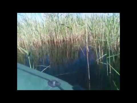 рыбалка на озере калачи рыбалка на озере калачи