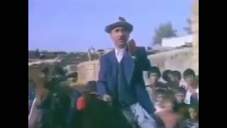 Bu Nedir Lo, Neye Yarir Ki?