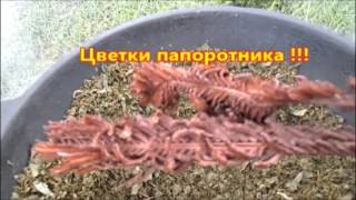 Стрижки видео. на ютубе Стрижки видео. на ютубе
