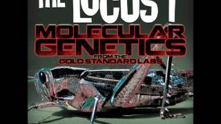Watch Locust Bring Your 65 Italian Carbine video