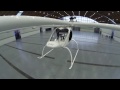 Flight