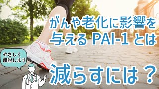 がんや老化に影響を与えるPai-1とは　減らすには