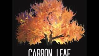 Watch Carbon Leaf Tip Toe video