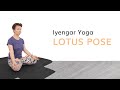 Lotus Posture--Padmasana--Iyengar Yoga with Kathy Cook