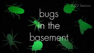 Bugs In The Basement- Schizaphis Graminum aka The Greenbug