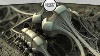 Lights - What I'M Looking For (Acoustic Live Cover)