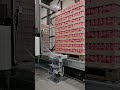 Паллетирование в стретч-плёнку | Автоматический паллетообмотчик ROBOPAC HELIX EVO  #robopac