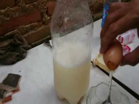 Perangsang Buah atau Bunga