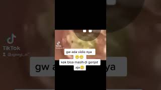 Viral Belatung Dulu Ya Gw Ada Vidio Nya
