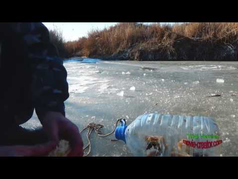 ловля змееголова видео на сырдарье ловля змееголова видео на сырдарье
